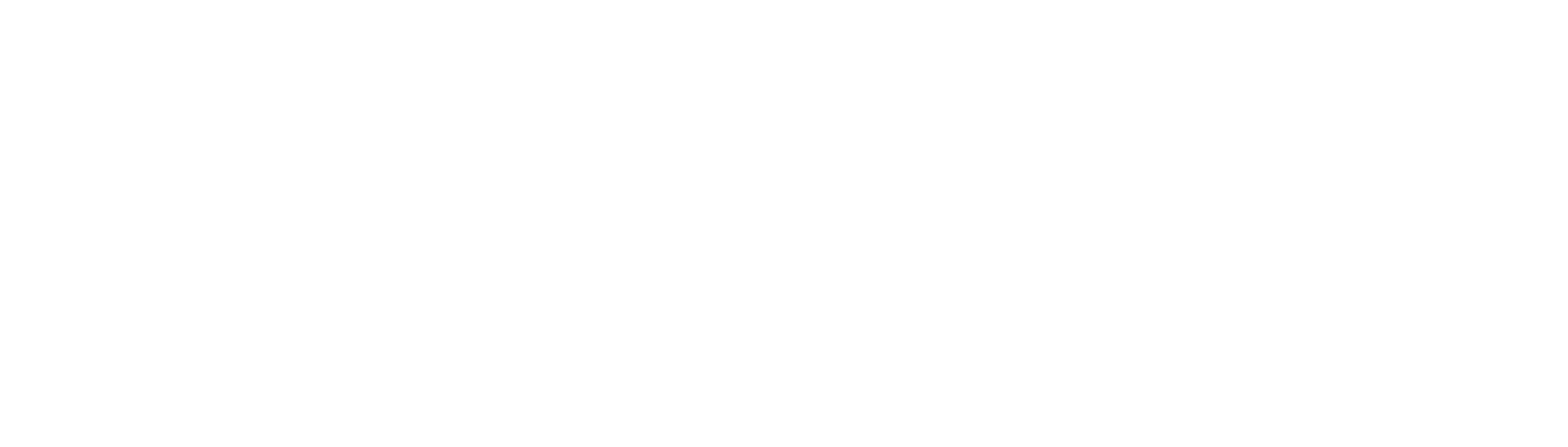 checkmate touring logo